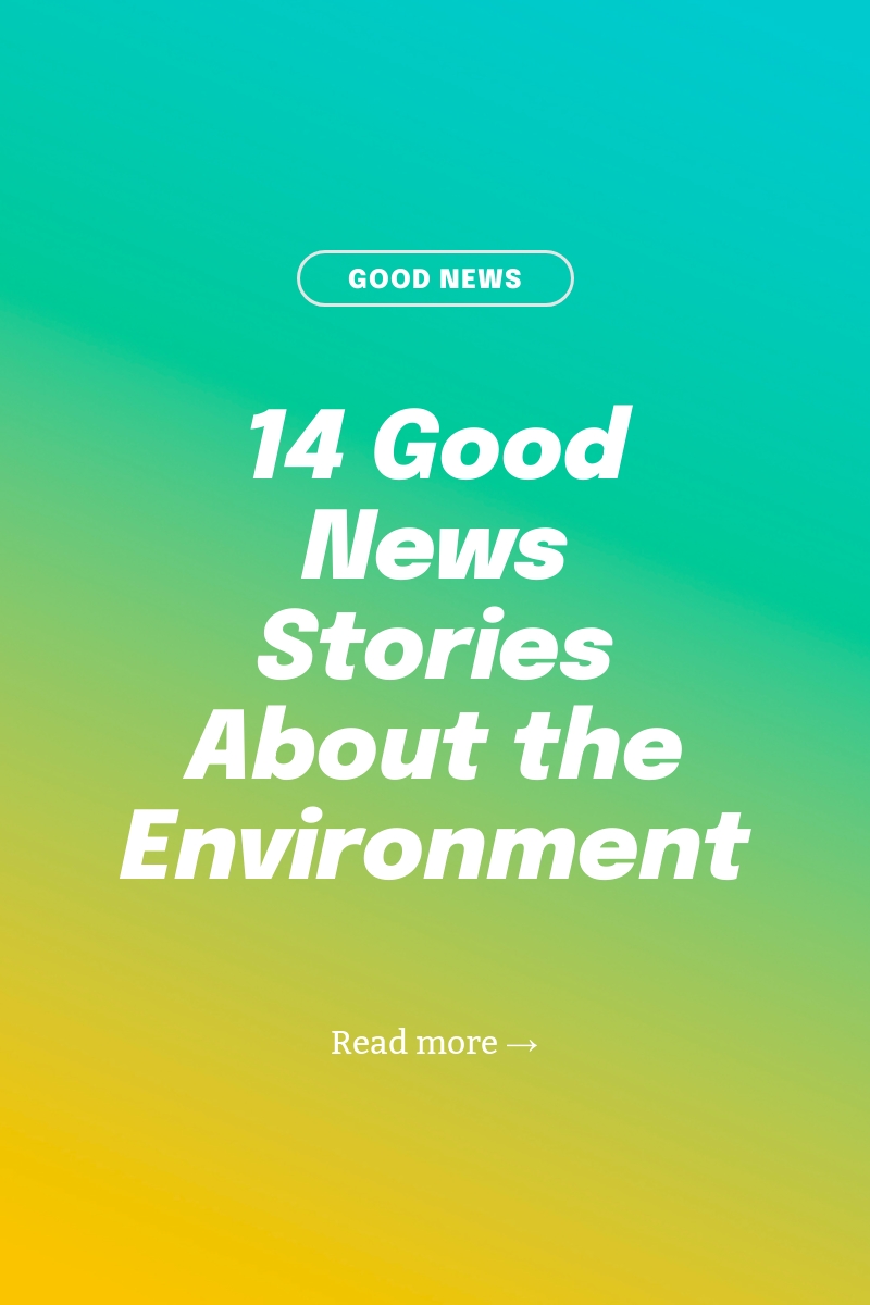 14 Good News Stories About the Environment - Pinterest Image