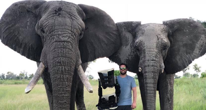 Derrick Campana and Elephants with Prosthetic Limbs