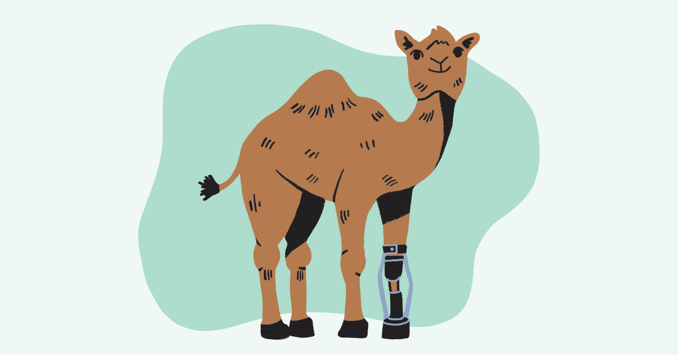 Camel with Prosthetic Limbs