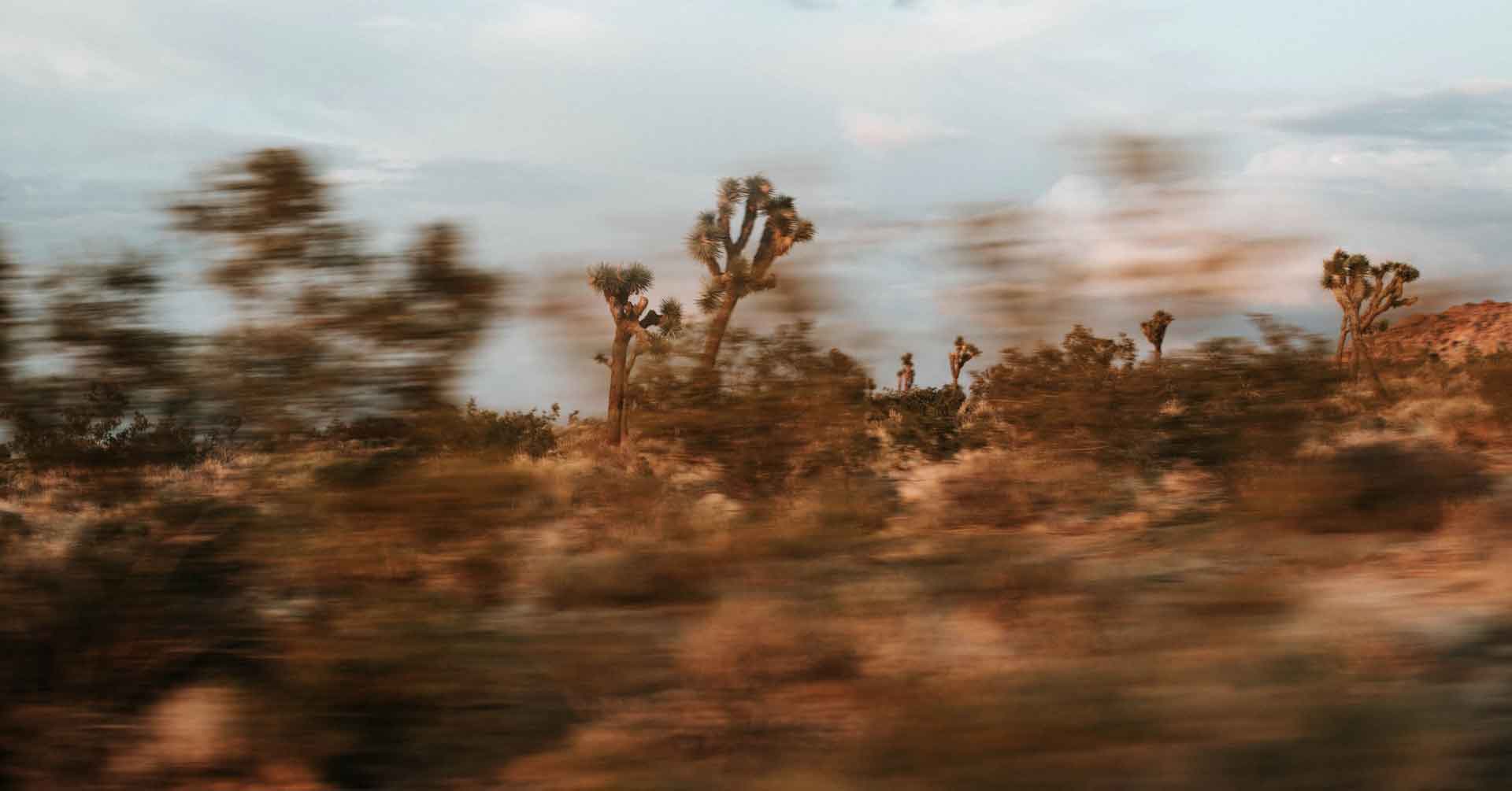 Abstract image of speeding past a scenic highway from a truck