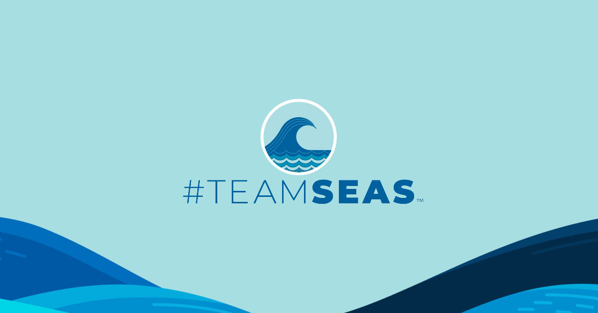 Light blue background with blue colored wave illustrations at the bottom and #TeamSeas logo overlay