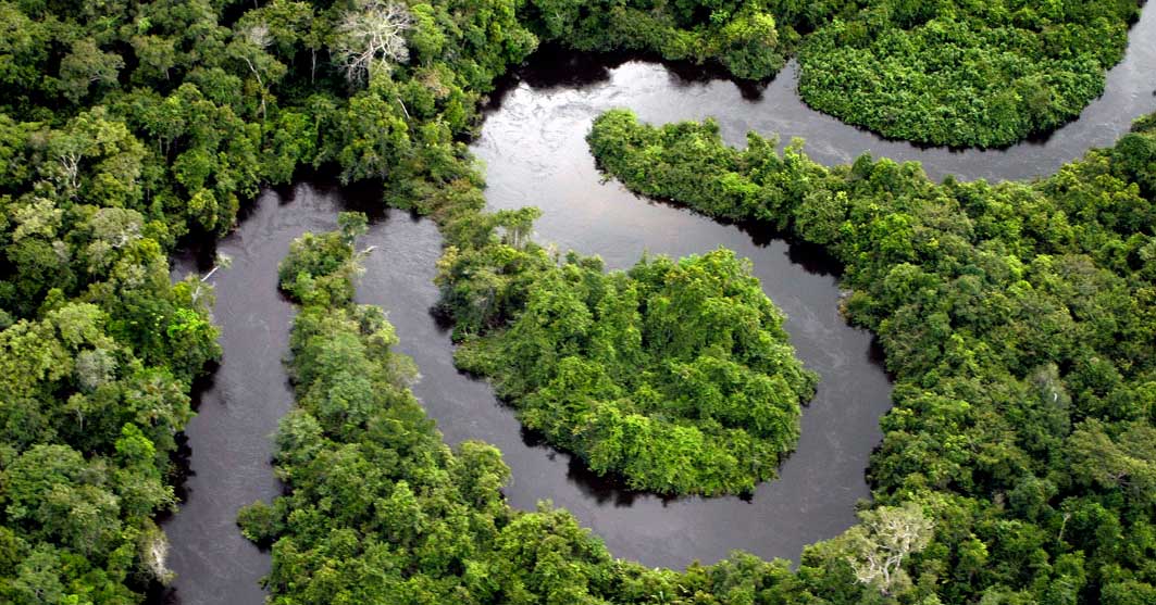 A Curvy River in the Amazon Rainforest