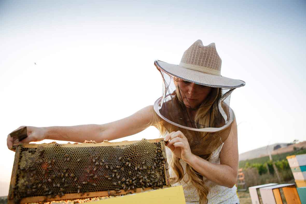Sarah Red-Laird wearing her beekeeping clothing and caring for bees in a hive