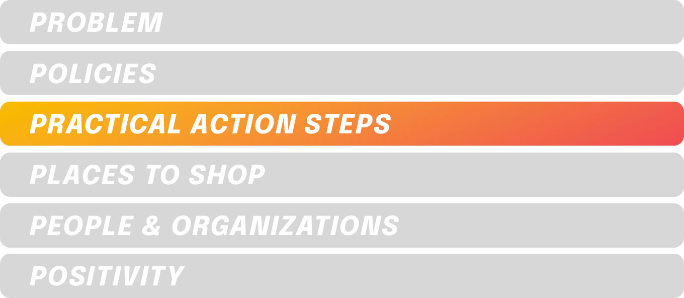 Practical Action Steps
