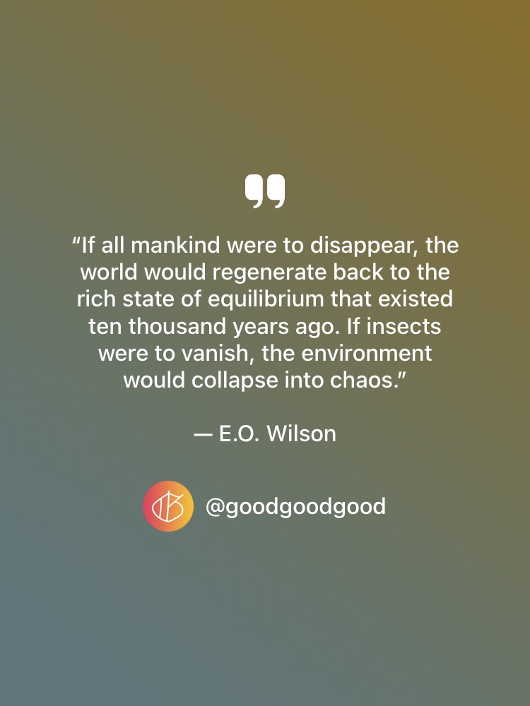 “If all mankind were to disappear, the world would regenerate back to the rich state of equilibrium that existed ten thousand years ago. If insects were to vanish, the environment would collapse into chaos.” — E.O. Wilson quote