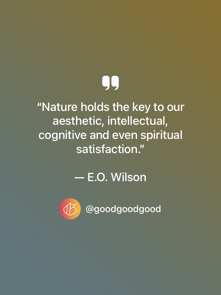 “Nature holds the key to our aesthetic, intellectual, cognitive and even spiritual satisfaction.” — E.O. Wilson quote
