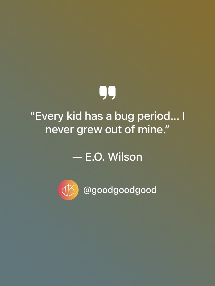 “Every kid has a bug period... I never grew out of mine.” — E.O. Wilson quote