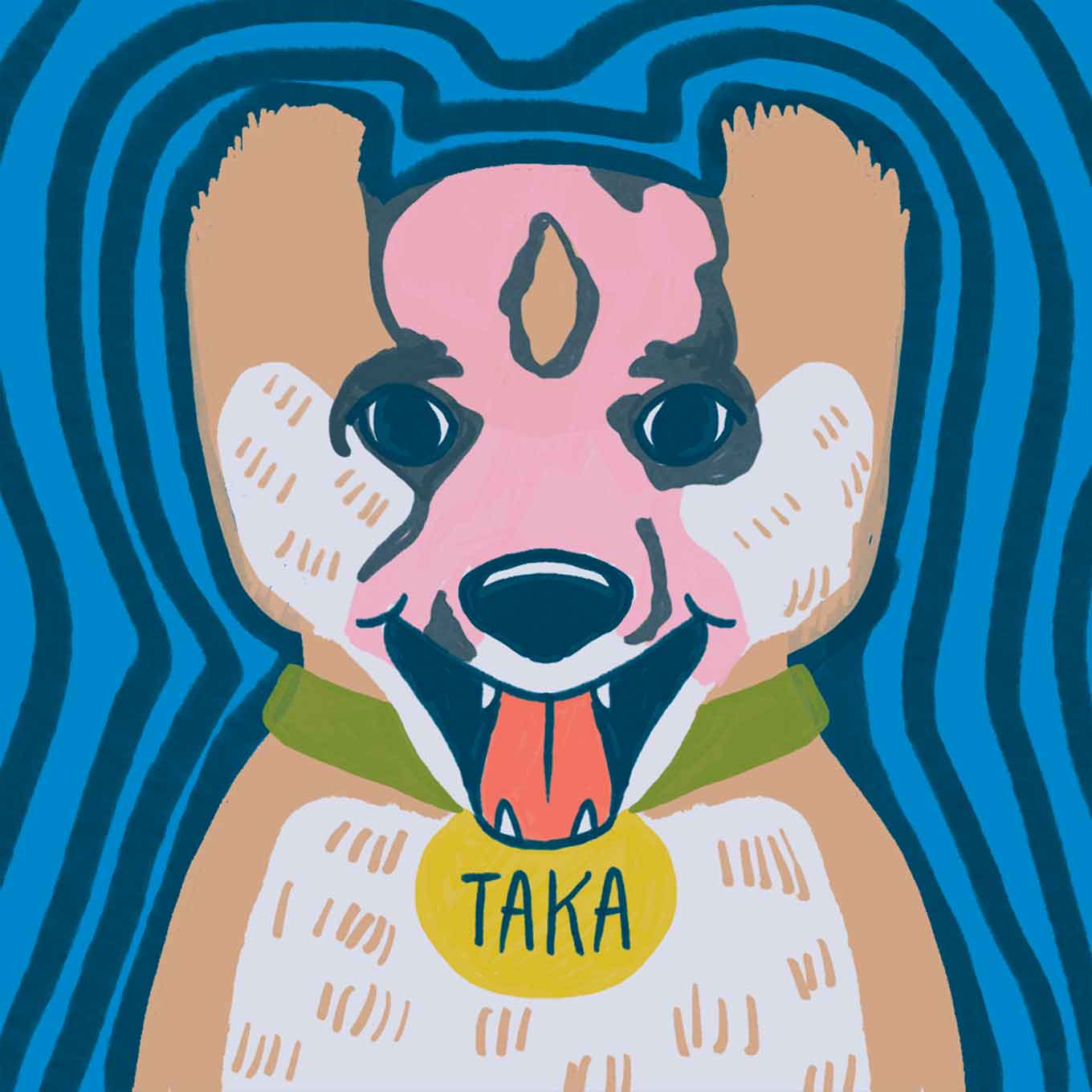 Taka the dog has a pink / skin mark on the front of its face after a burn