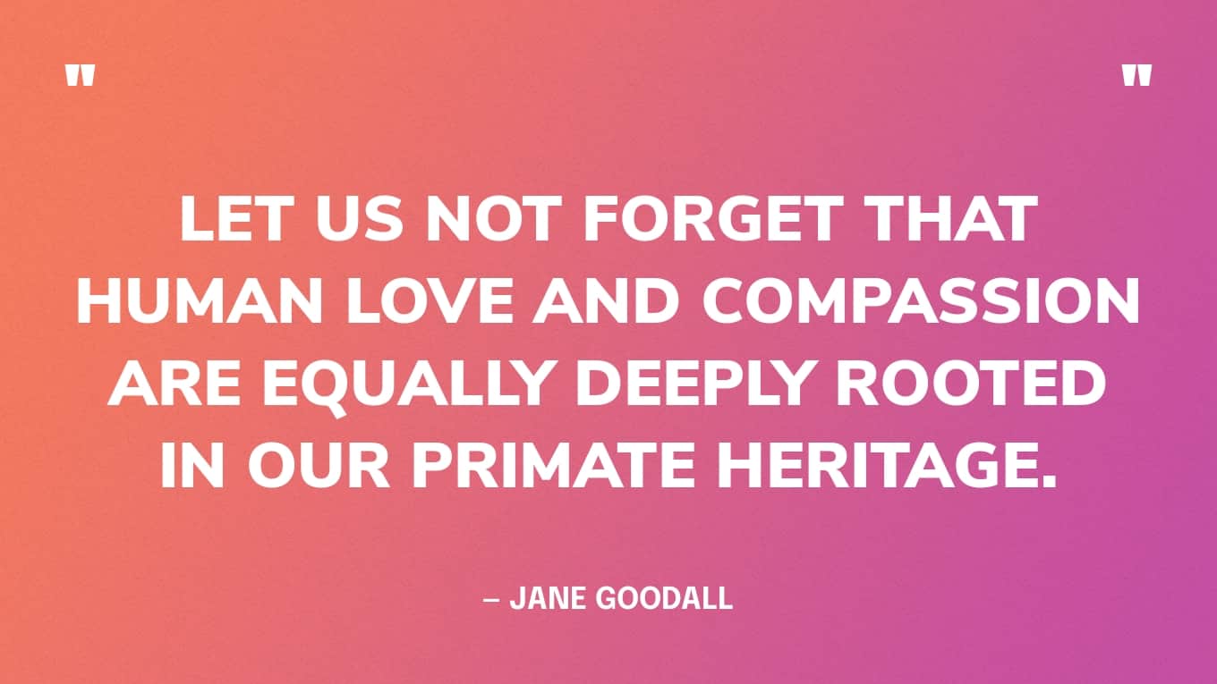 “Let us not forget that human love and compassion are equally deeply rooted in our primate heritage.” — Jane Goodall quotes