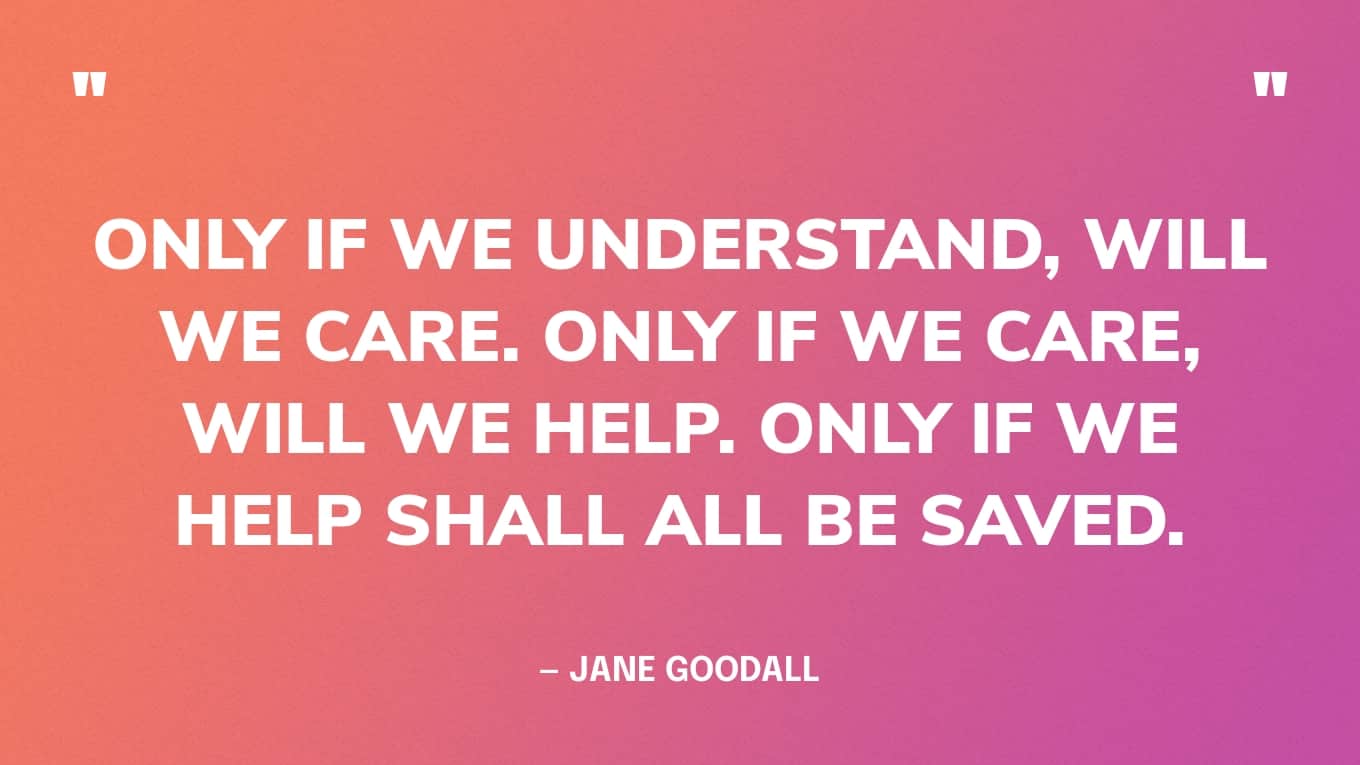 Quote: “Only if we understand, will we care. Only if we care, will we help. Only if we help shall all be saved.”‍ — Jane Goodall