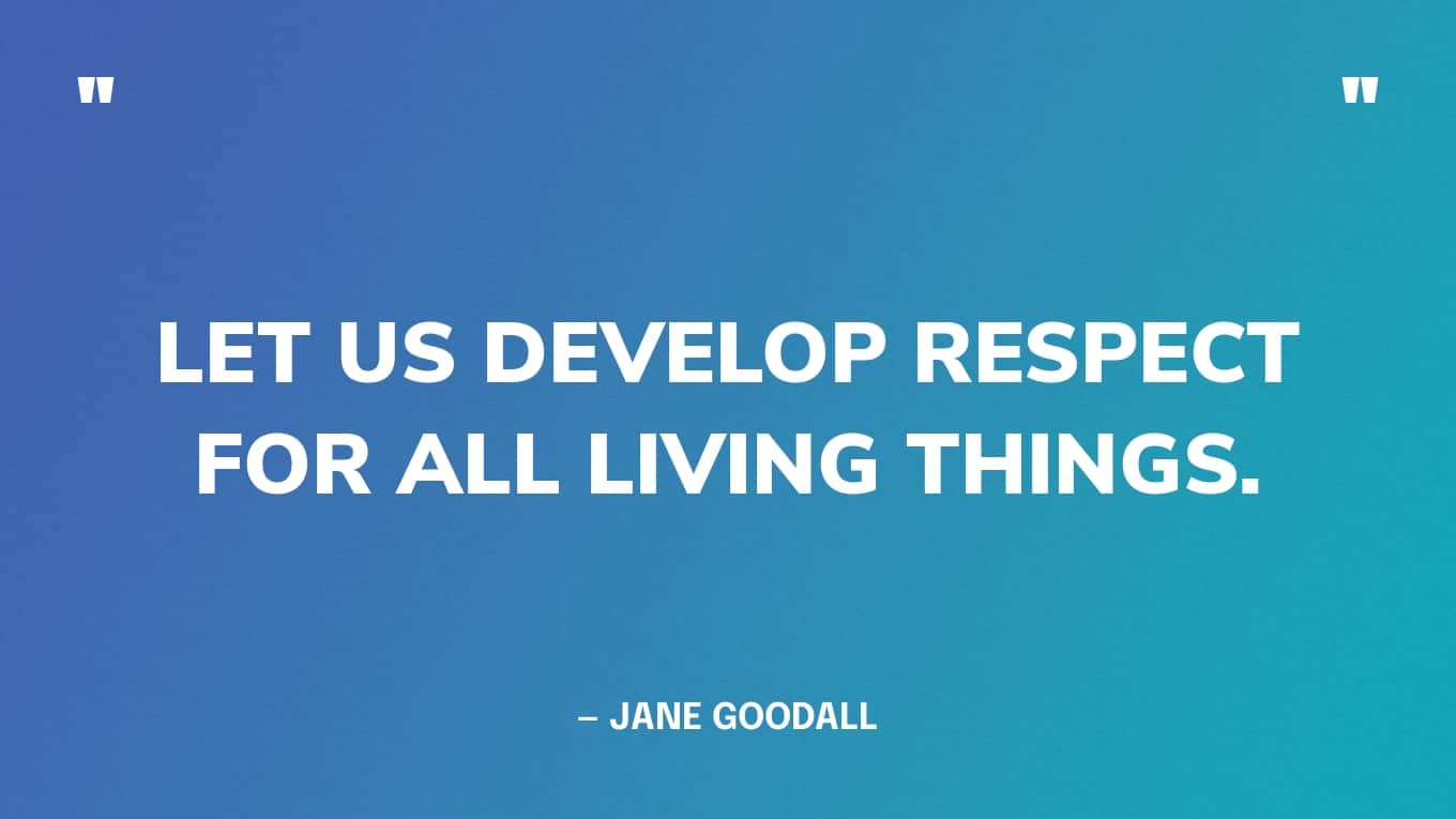 “Let us develop respect for all living things.” — Jane Goodall