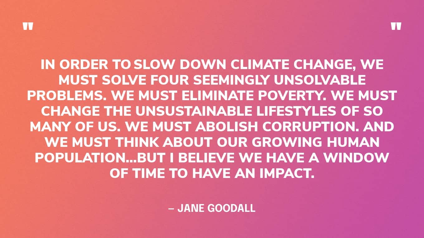 “In order to slow down climate change, we must solve four seemingly unsolvable problems. We must eliminate poverty. We must change the unsustainable lifestyles of so many of us. We must abolish corruption. And we must think about our growing human population… But I believe we have a window of time to have an impact.” — Jane Goodall