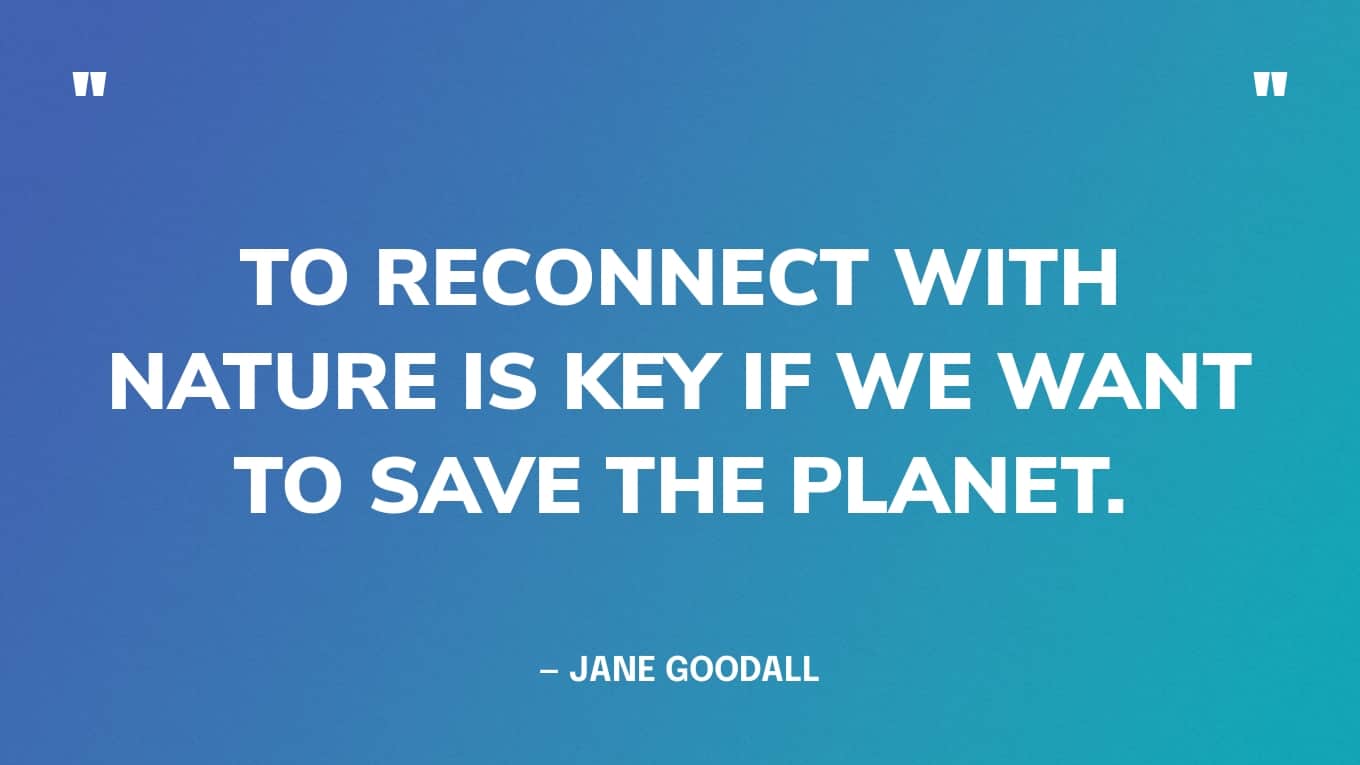 “To reconnect with nature is key if we want to save the planet.” — Jane Goodall