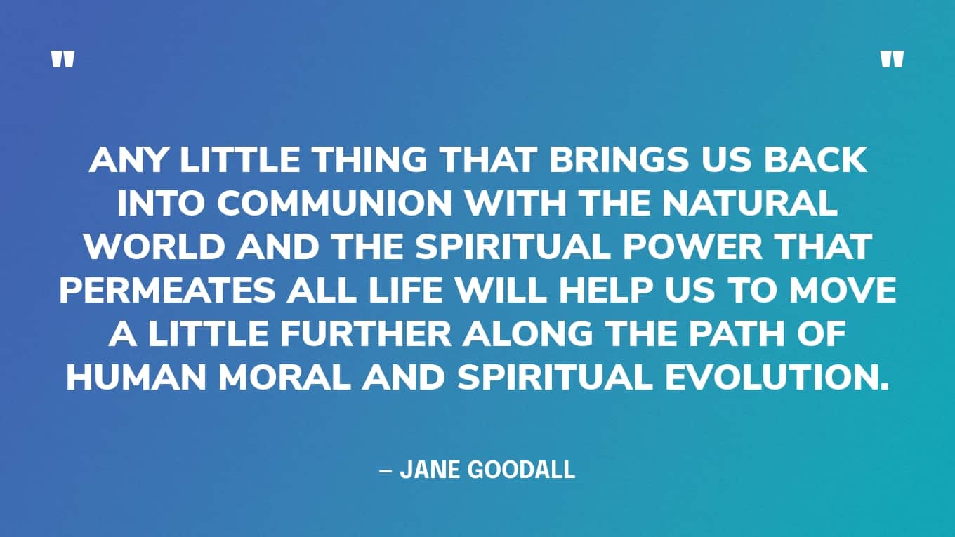 “Any little thing that brings us back into communion with the natural world and the spiritual power that permeates all life will help us to move a little further along the path of human moral and spiritual evolution.” — Jane Goodall