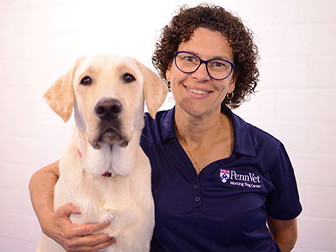 Veterinarian Cindy Otto smiling in a PennVet polo shirt with a dog