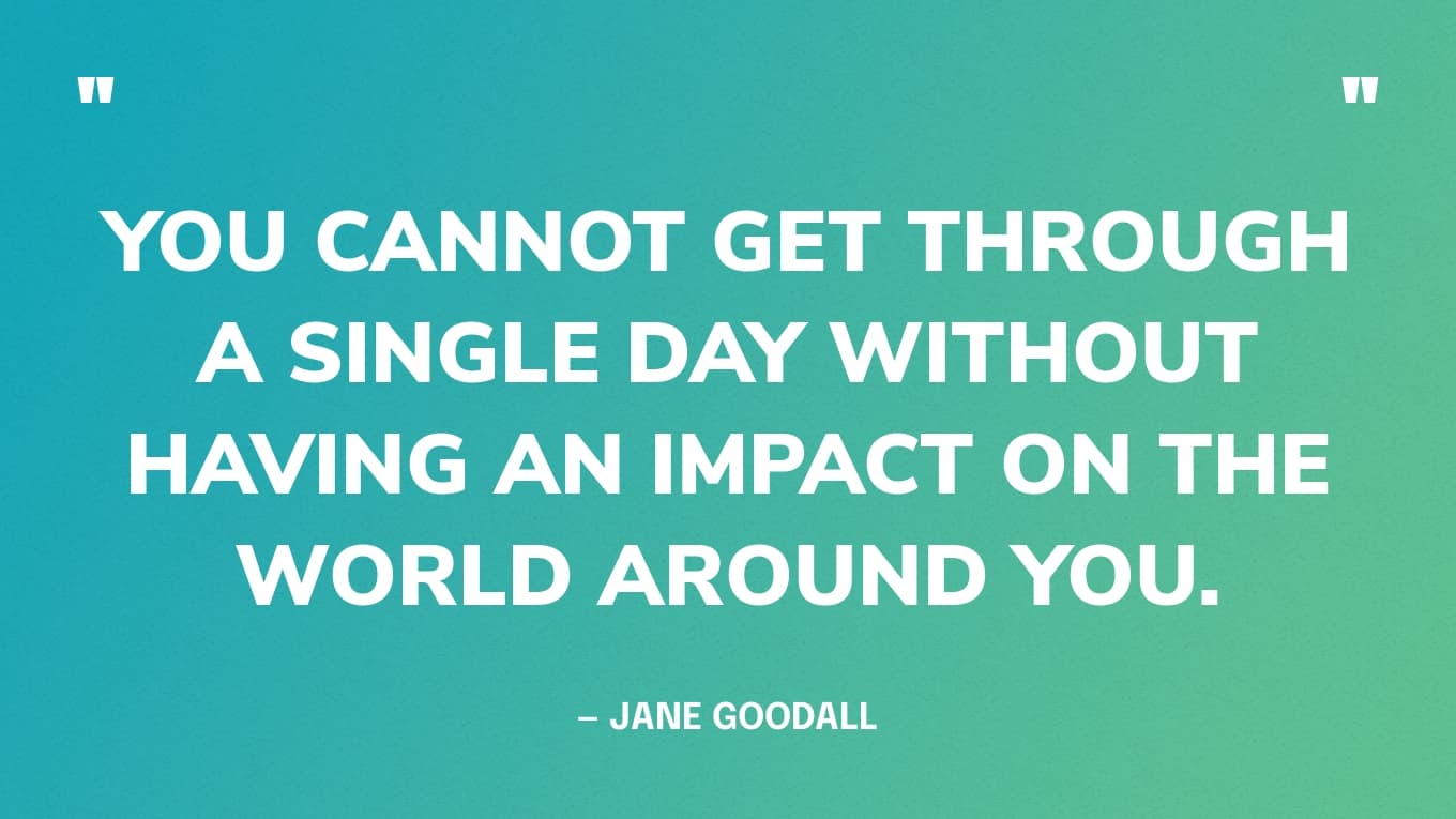 Earth Day Quote: “You cannot get through a single day without having an impact on the world around you. What you do makes a difference, and you have to decide what kind of difference you want to make.” — Jane Goodall