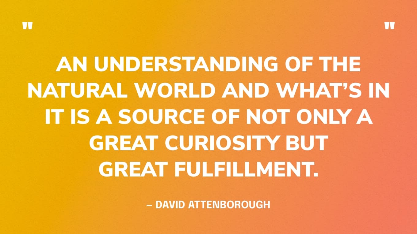 “An understanding of the natural world and what’s in it is a source of not only a great curiosity but great fulfillment.” — David Attenborough