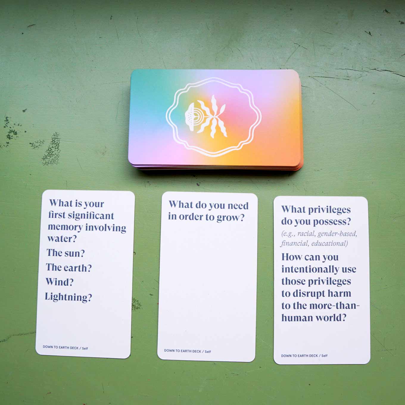 Cards saying: 1. What is your first significant memory involving water? 2. What do you need in order to grow? 3. What privileges do you possess? How can you intentionally use those privileges to disrupt harm to the more-than-human world?