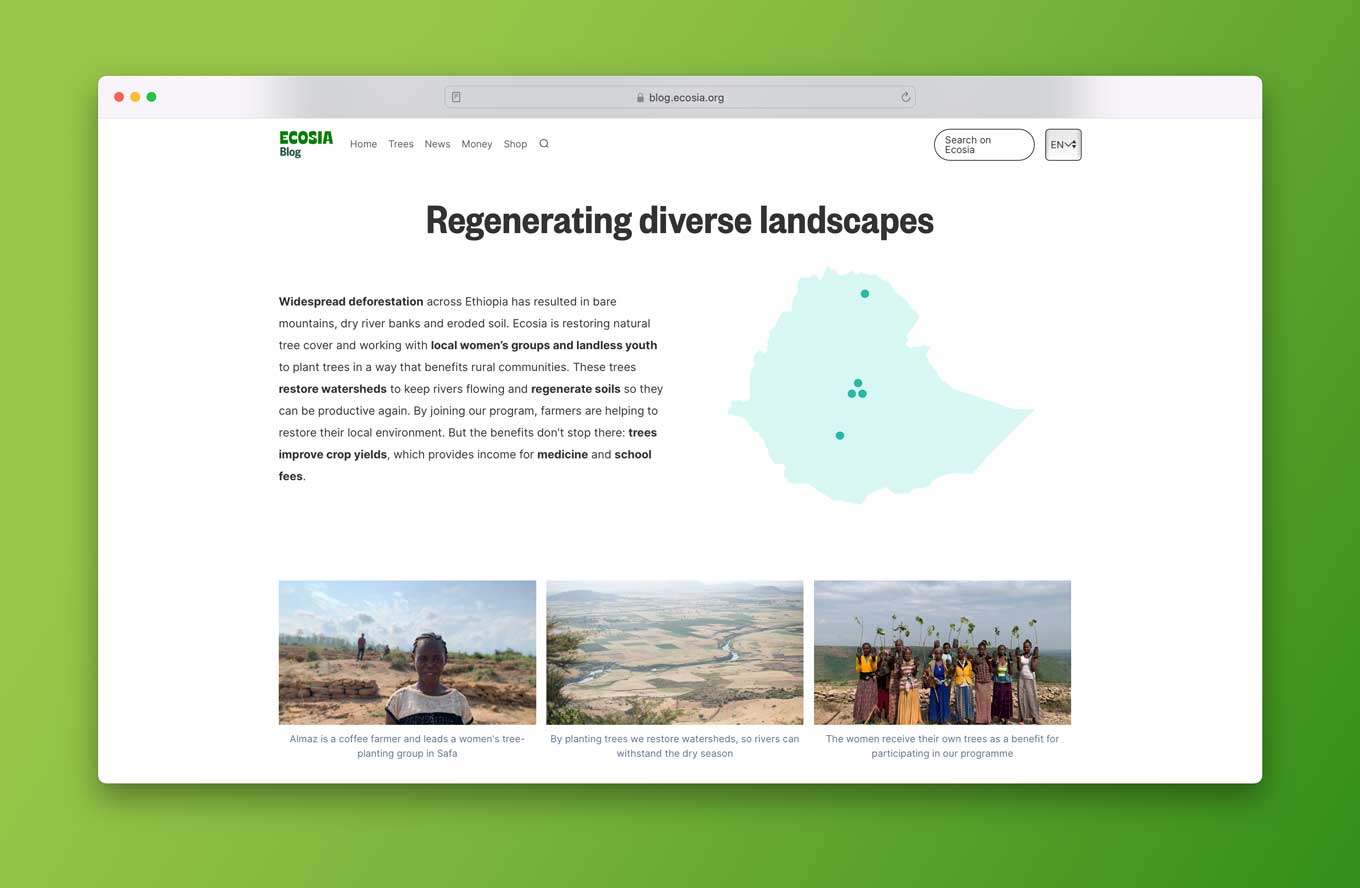 Screenshot of an Ecosia page that says "Regenerating diverse landscapes"