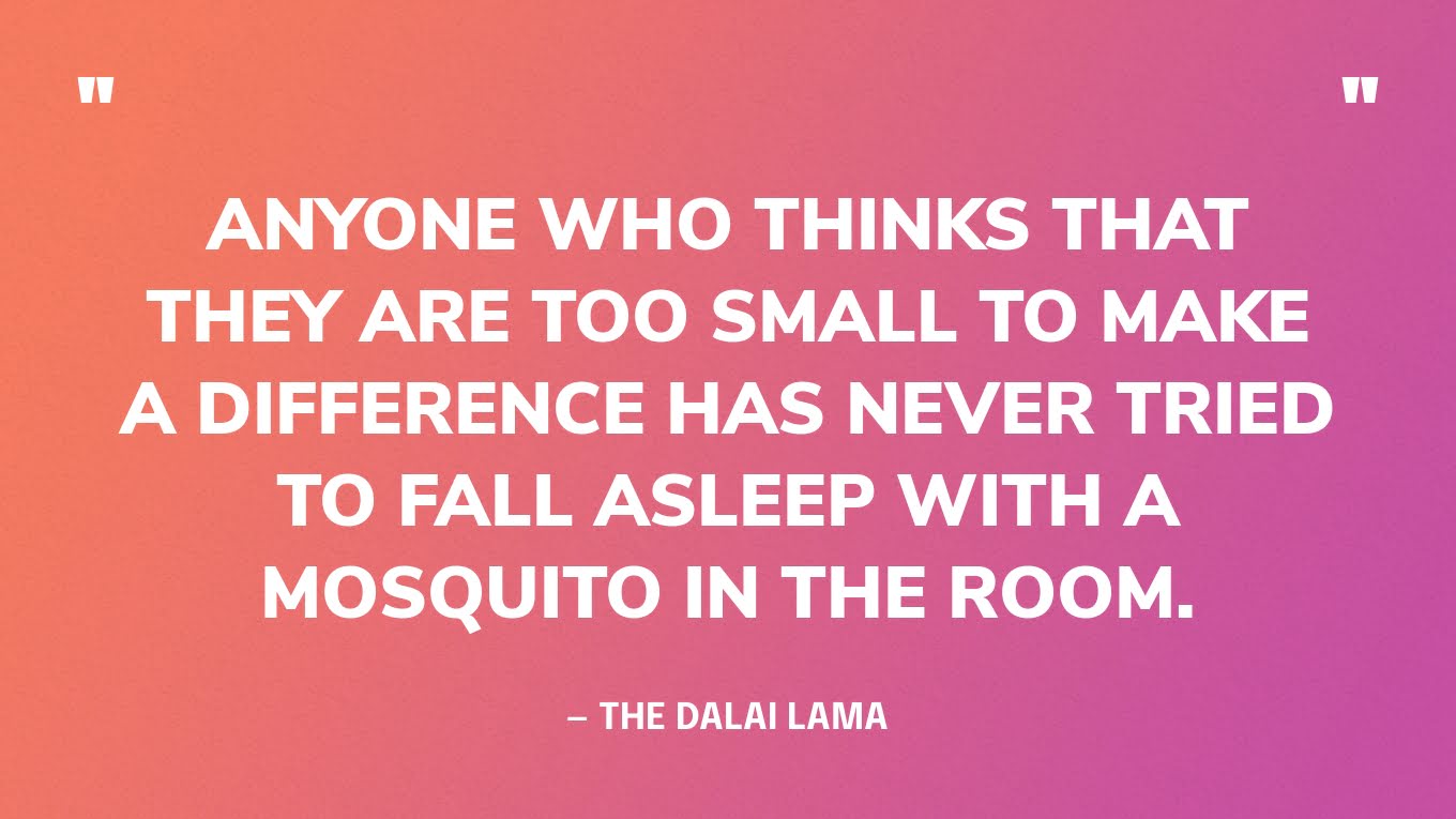 “Anyone who thinks that they are too small to make a difference has never tried to fall asleep with a mosquito in the room.” — The Dalai Lama