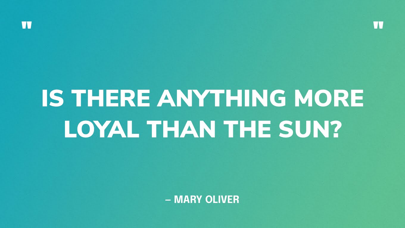 “Is there anything more loyal than the sun?” — Mary Oliver