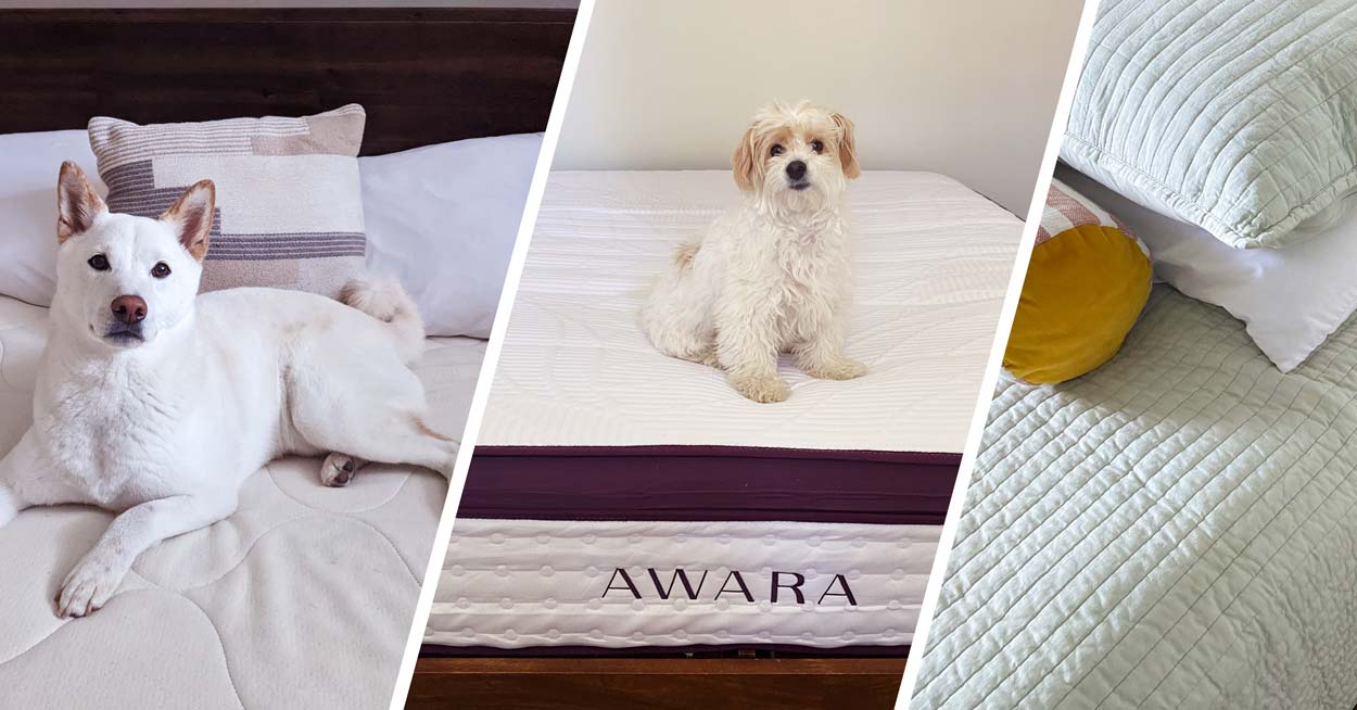 Three photos of eco friendly mattresses, two of them have cute dogs on them