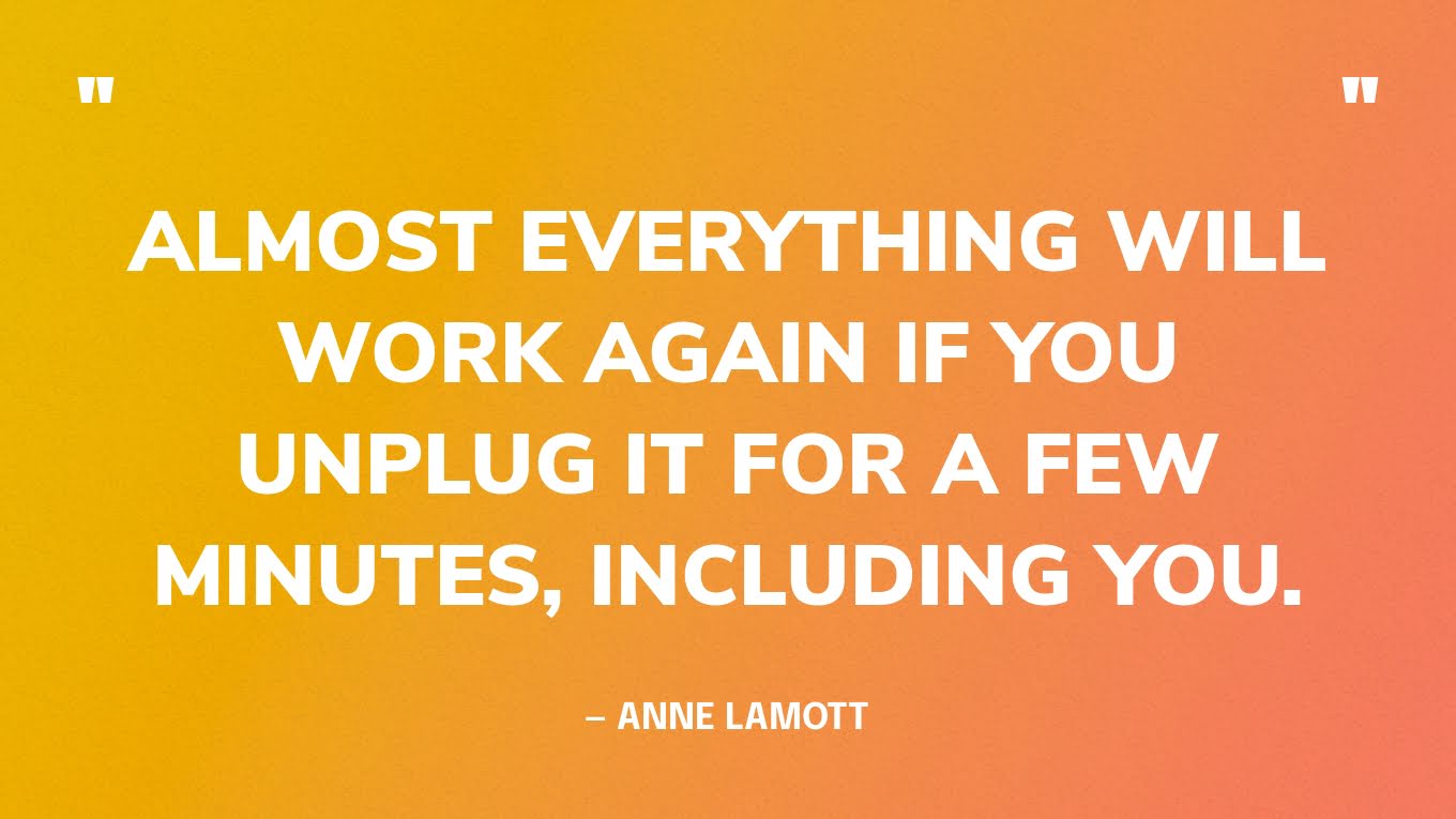 “Almost everything will work again if you unplug it for a few minutes, including you.” — Anne Lamott