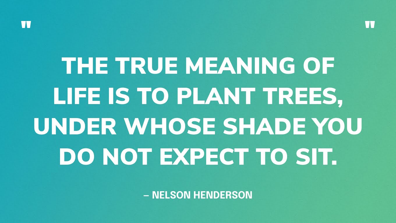 “The true meaning of life is to plant trees, under whose shade you do not expect to sit.” — Nelson Henderson