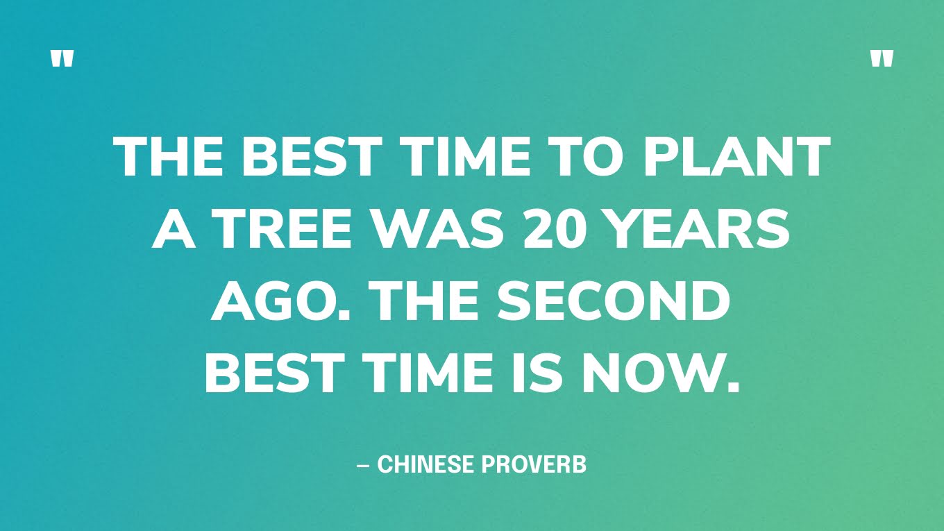 “The best time to plant a tree was 20 years ago. The second best time is now.” — Chinese proverb