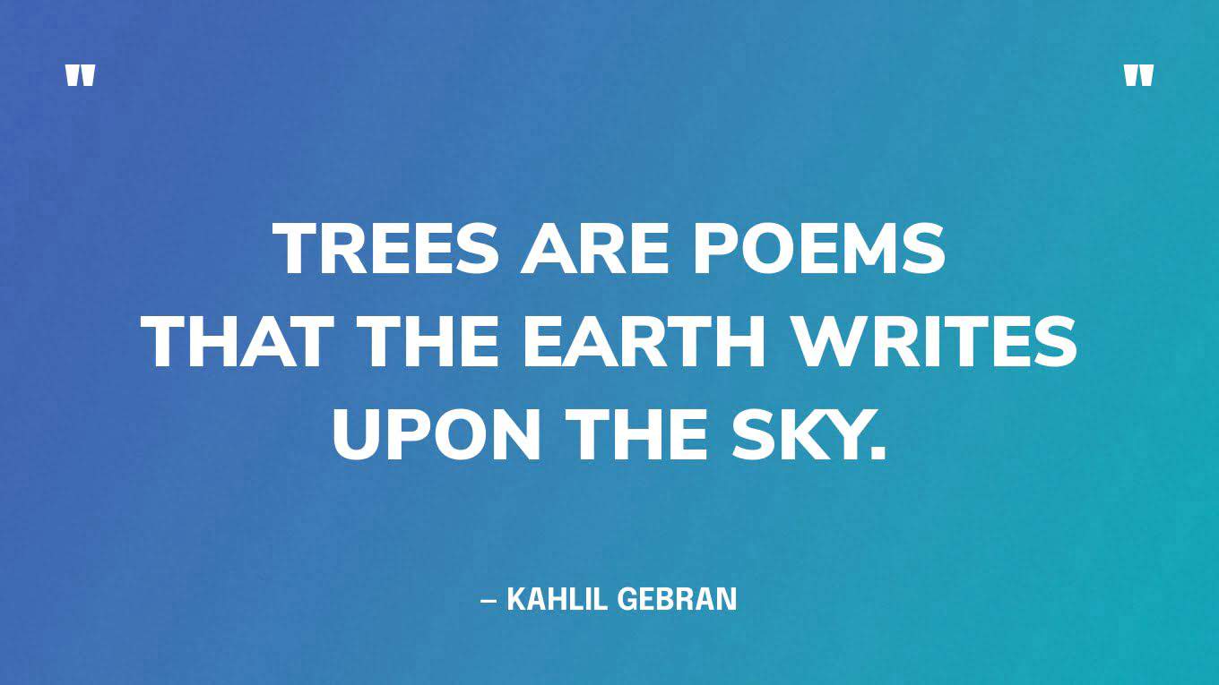 “Trees are poems that the earth writes upon the sky.” — Kahlil Gebran