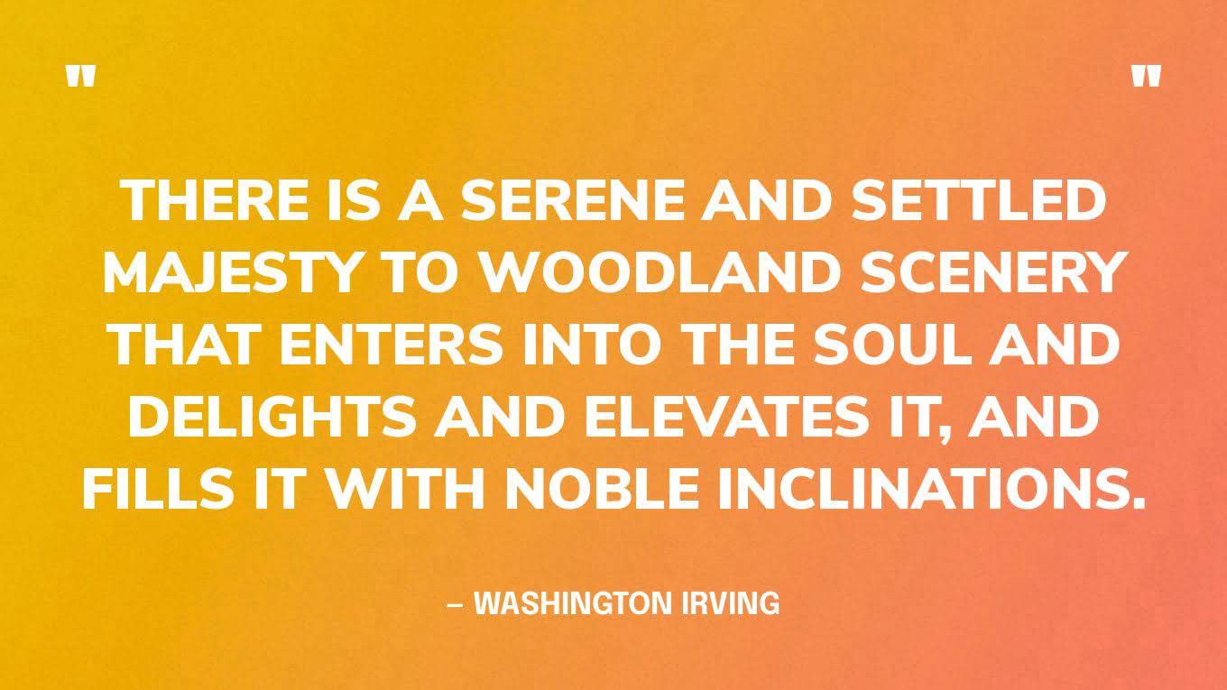 “There is a serene and settled majesty to woodland scenery that enters into the soul and delights and elevates it, and fills it with noble inclinations.” — Washington Irving‍