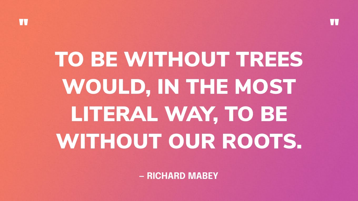“To be without trees would, in the most literal way, to be without our roots.” — Richard Mabey
