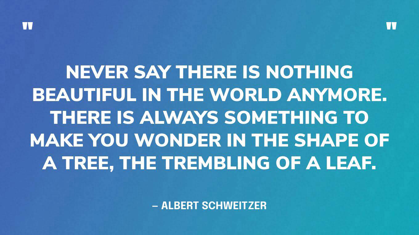 “Never say there is nothing beautiful in the world anymore. There is always something to make you wonder in the shape of a tree, the trembling of a leaf.” — Albert Schweitzer