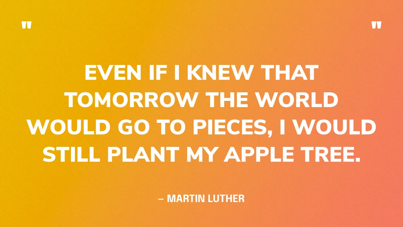 “Even if I knew that tomorrow the world would go to pieces, I would still plant my apple tree.” — Martin Luther 