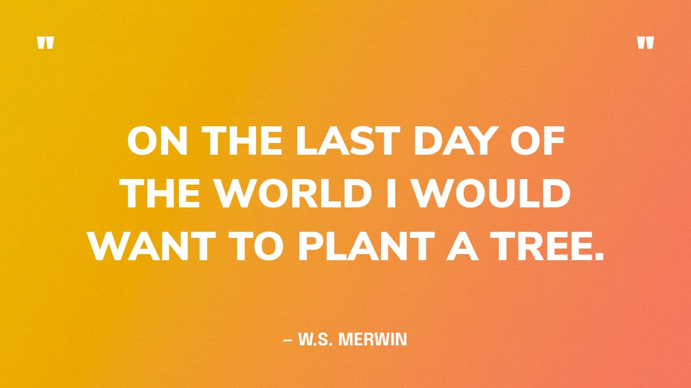 “On the last day of the world I would want to plant a tree.” — W.S. Merwin