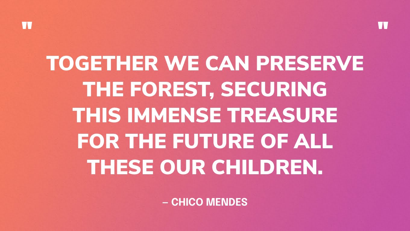 “Together we can preserve the forest, securing this immense treasure for the future of all these our children.” — Chico Mendes