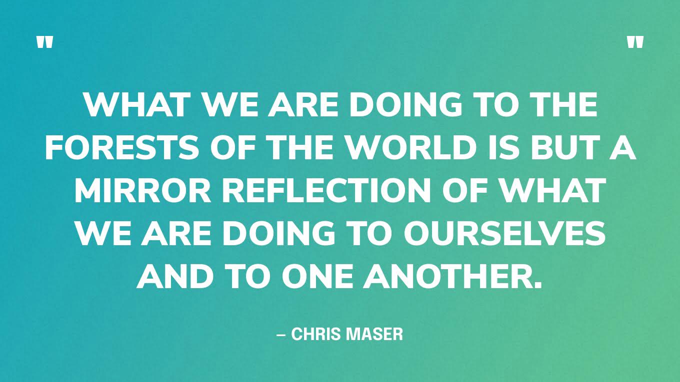 “What we are doing to the forests of the world is but a mirror reflection of what we are doing to ourselves and to one another.” — Chris Maser