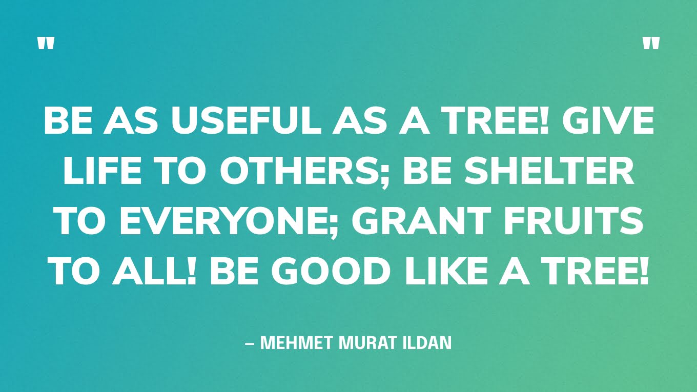 “Be as useful as a tree! Give life to others; be shelter to everyone; grant fruits to all! Be good like a tree!” — Mehmet Murat Ildan
