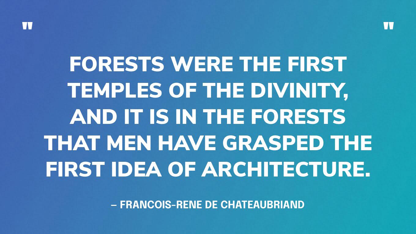 “Forests were the first temples of the divinity, and it is in the forests that men have grasped the first idea of architecture.” — Francois-Rene de Chateaubriand