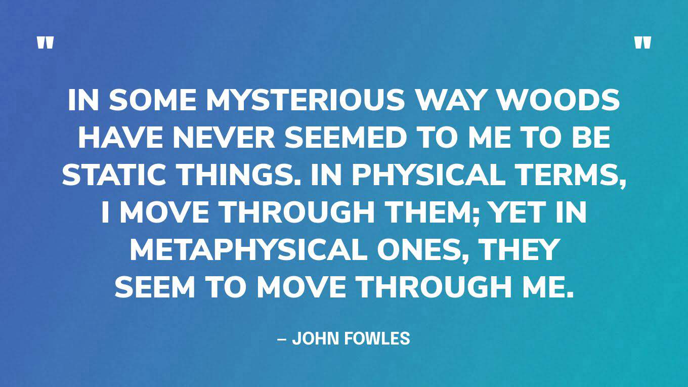 “In some mysterious way woods have never seemed to me to be static things. In physical terms, I move through them; yet in metaphysical ones, they seem to move through me.” — John Fowles