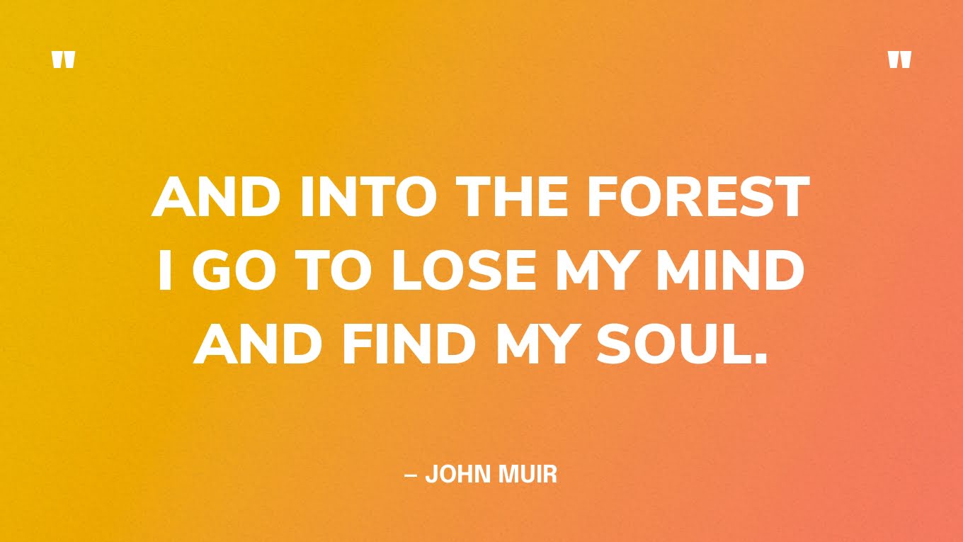 “And into the forest I go to lose my mind and find my soul.” — John Muir