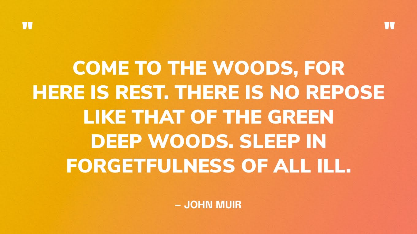 “Come to the woods, for here is rest. There is no repose like that of the green deep woods. Sleep in forgetfulness of all ill.” — John Muir