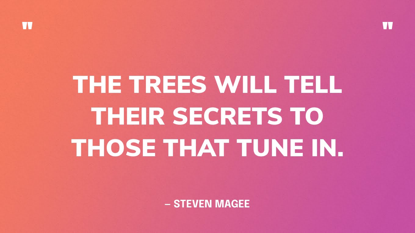 “The trees will tell their secrets to those that tune in.” — Steven Magee‍