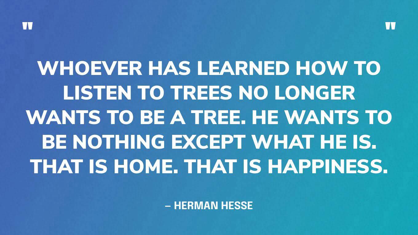 “Whoever has learned how to listen to trees no longer wants to be a tree. He wants to be nothing except what he is. That is home. That is happiness.” — Herman Hesse