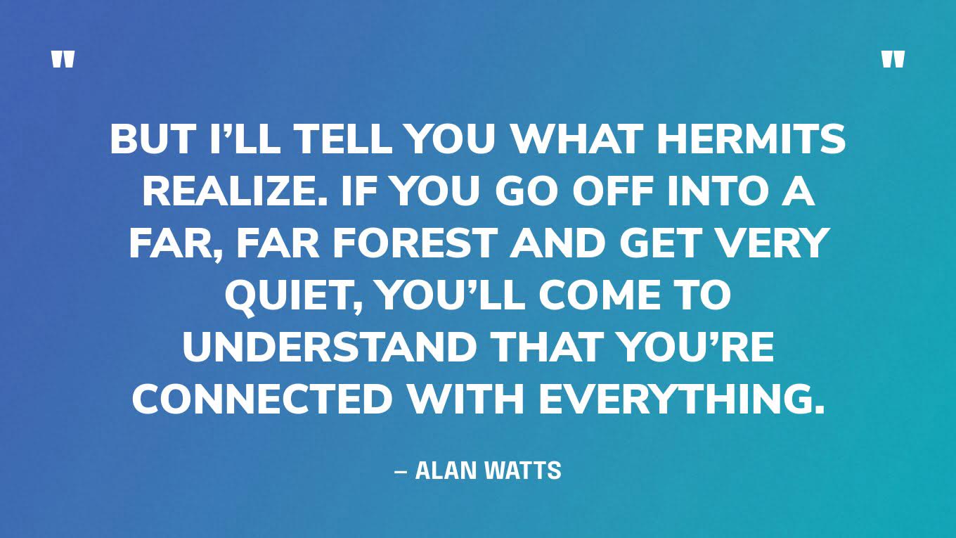 “But I’ll tell you what hermits realize. If you go off into a far, far forest and get very quiet, you’ll come to understand that you’re connected with everything.” — Alan Watts