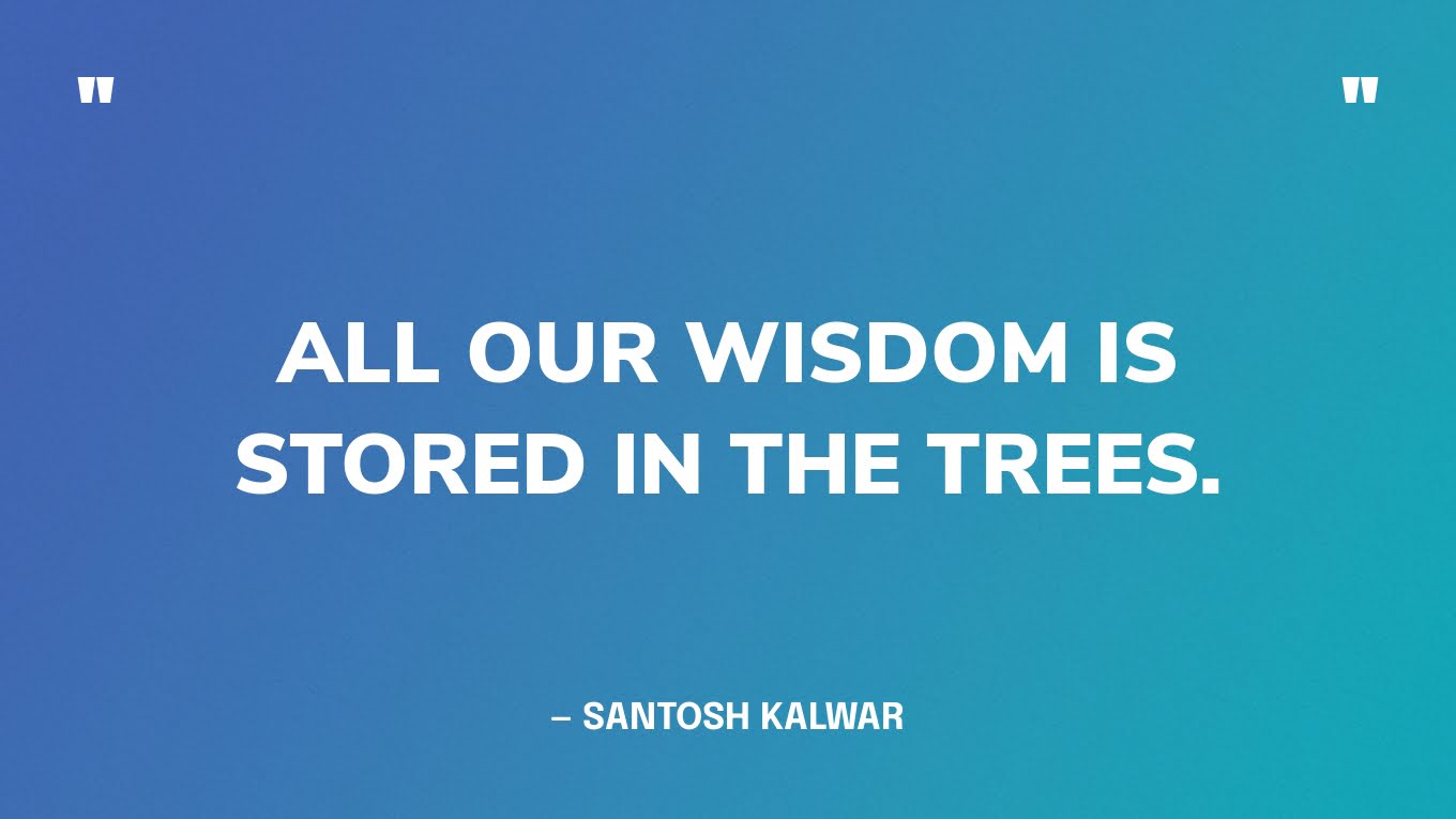 “All our wisdom is stored in the trees.” — Santosh Kalwar