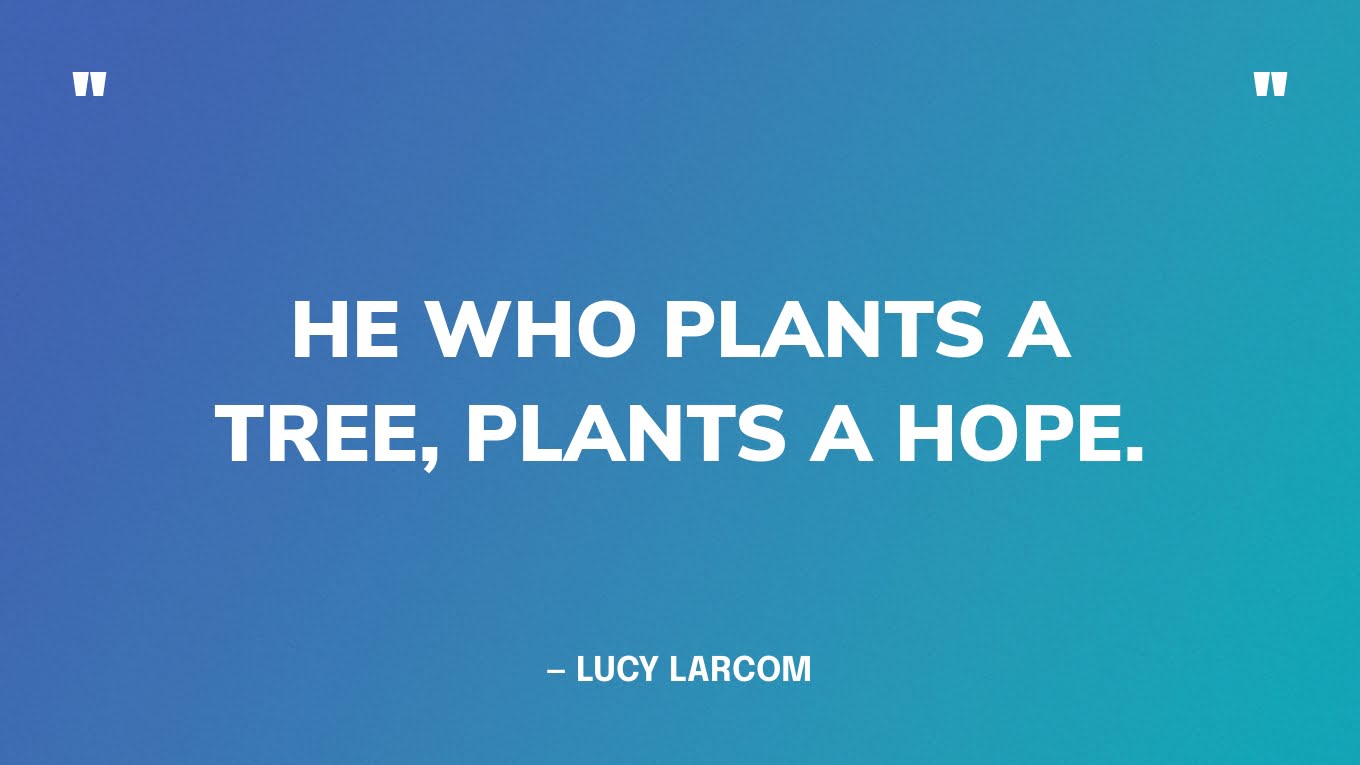“He who plants a tree, plants a hope.” — Lucy Larcom