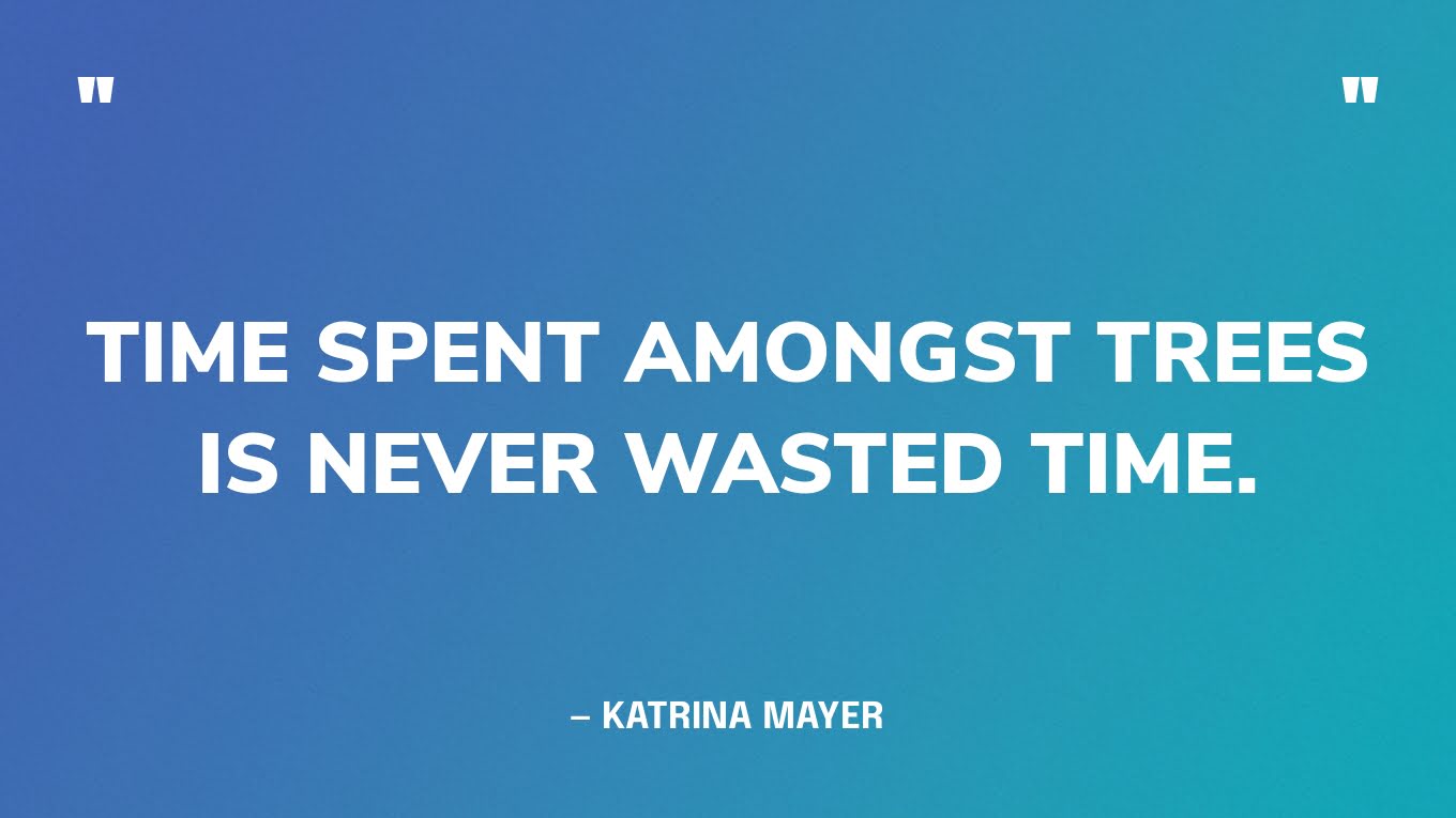 “Time spent amongst trees is never wasted time.” — Katrina Mayer
