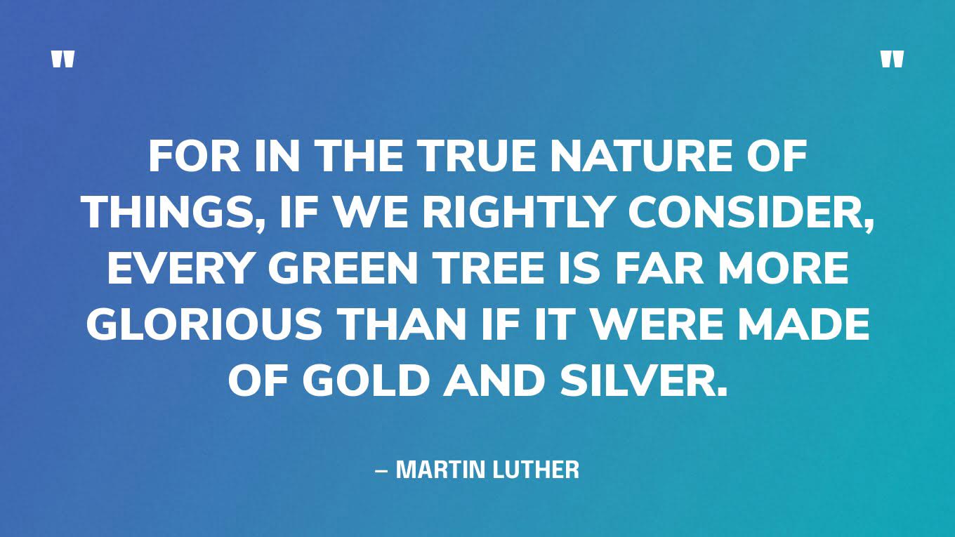 “For in the true nature of things, if we rightly consider, every green tree is far more glorious than if it were made of gold and silver.” — Martin Luther‍