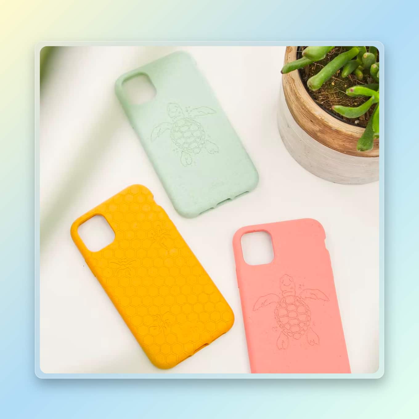 Colorful phone case from Pela